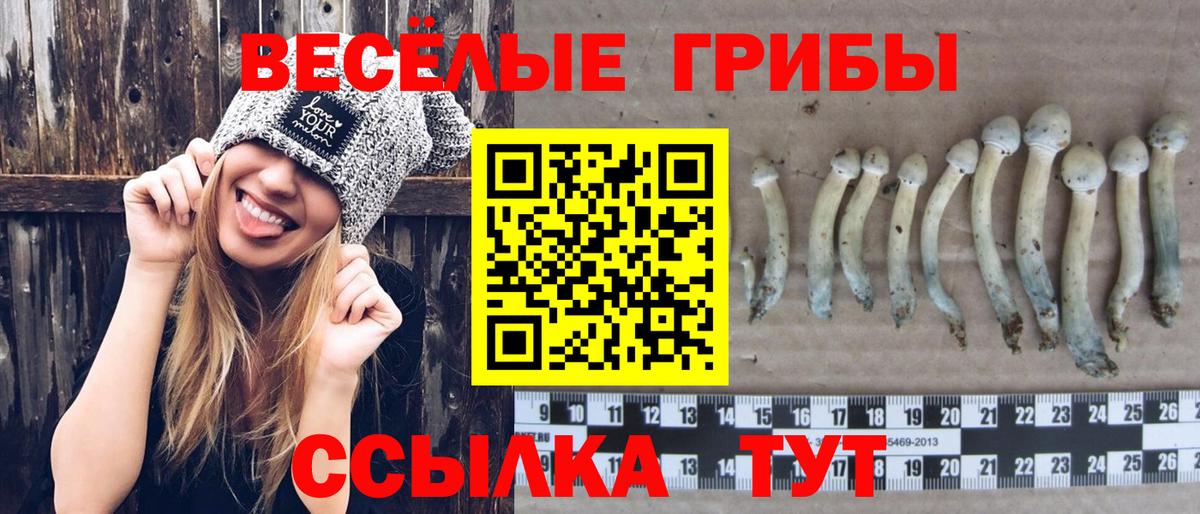 Галлюциногенные грибы Magic Shrooms Брянск